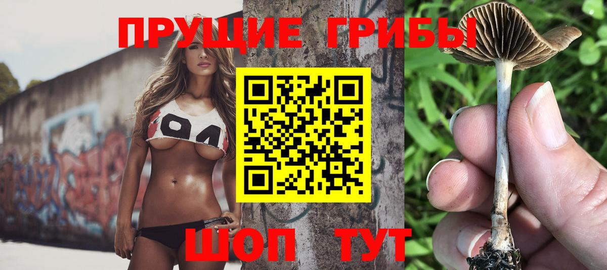 Псилоцибиновые грибы MAGIC MUSHROOMS Новомосковск